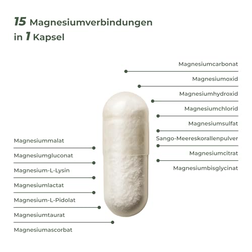 Magnesium Komplex MagNityX15 15 Magnesiumverbindungen inkl. Magnesium Bisglycinat Citrat & Malat 400 mg pro Tagesdosis 120 Kapseln Muskeln Knochen Nerven Vitality Nutritionals by Vitamin Express