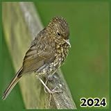  2024: \"Thème : Oiseaux - Un calendrier de bureau 2024 avec des photos spectaculaires et des espaces pour les notes - Format carré 21,59 x 21,59 cm\" – en couleur premium