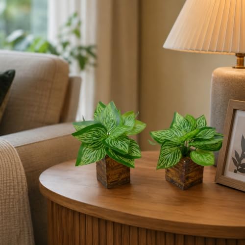 Image of DecoreBugs Artificial Real Touch Flower Plant with Pot (Pack of 2), 16 cm Height, Decorative Faux Floral Plant for Home, Office, Living Room, Bedroom, Table & Shelf Decor