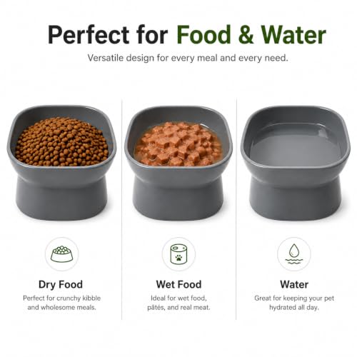 Image of Kipenzi Elevated Pet Bowl for Cats & Small Dogs | Food Grade Feeding Bowl | Raised Ergonomic Design | Stable & Easy to Clean | Modern Food & Water Bowl | Grey (Pack of 2)