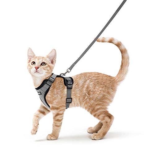 Rabbitgoo Pettorina Gatto Antifuga con Guinzaglio Regolabile Riflettente, Maglia Traspirante XS Grigio