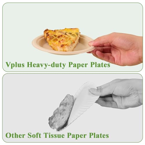 image for Vplus 125 Pack 6 inch Paper Plates 100% Compostable, Heavy-Duty Dispos