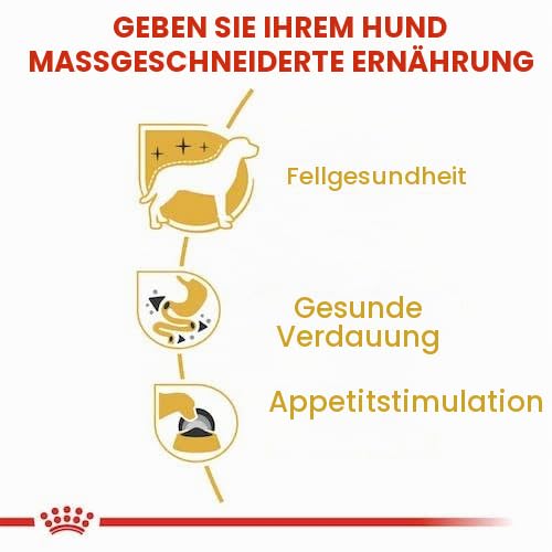 Royal Canin Chihuahua Adult | Doppelpack | 2 x 12 x 85 g | Nassfutter für ausgewachsene Chihuahuas | Zur Unterstützung der Stuhlqualität und der Zahngesundheit | Hohe Akzeptanz