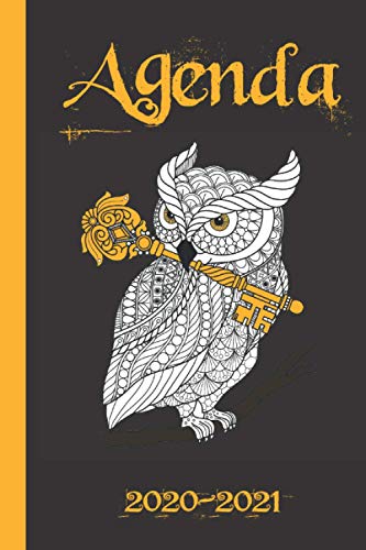 Télécharger Agenda 2020-2021: Agenda Scolaire 2020-2021 – Organisateur Journalier – Idéal pour pro ou étud PDF Ebook En Ligne