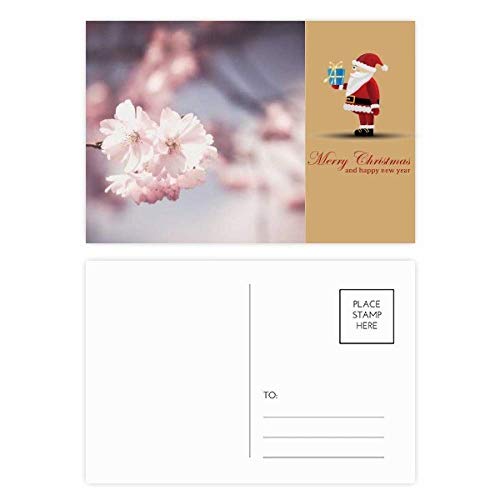 Cartes postales Père Noël roses lot de 20 correspondance hivernale et voeux