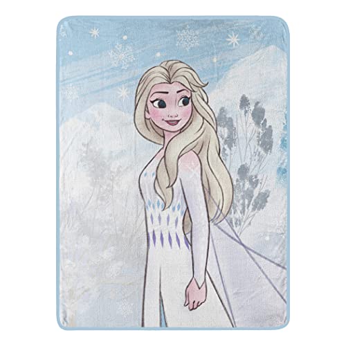 Northwest Frozen Couverture Micro Raschel 116,8 x 152,4 cm, Paysage de Neige