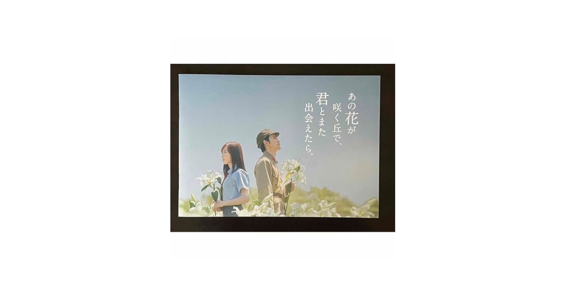 映画パンフレット　花は咲くか Amazon.co.jp: 【チラシ付映画パンフレット】 『あの花が咲く丘