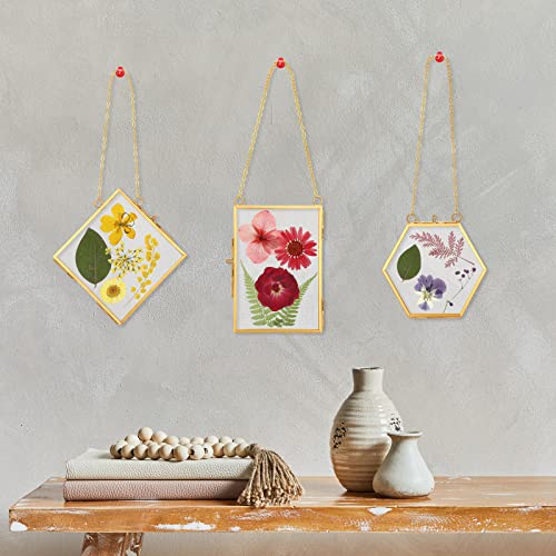 Bucherry 5 Pcs Glass Frame For Diy Pressed Flowers Art Brass Hanging Photo Picture Frame With Chain And 6 Styles Pressed Flowers Collage Glass Craft Frames For Wall Decor Display Gallery (Gold) #TOP6