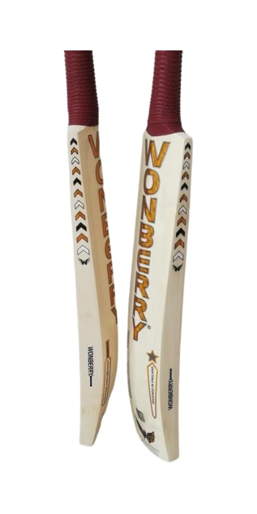 English Willow Cricket Bat (B0CJ6RLVKF) Amazon Price History, Amazon Price Tracker