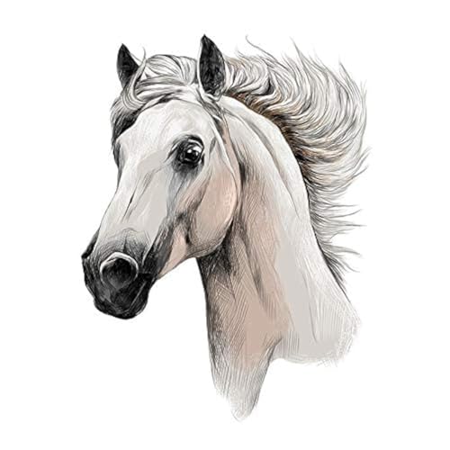 Ideen mit Herz Transferts thermocollants pour textile | DIN A4 | filigrane sans fond | idéal pour les t-shirts et les sacs | repasser des images rapidement et...