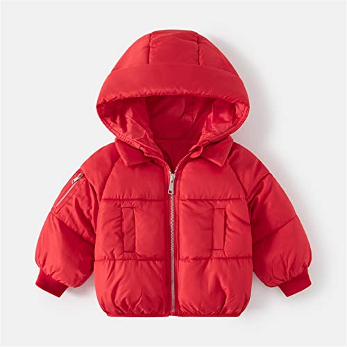 Little Boys Hooded Coat Warm Winter Outerwear Full Zipper Winter Puffer Jacket Hooded Zip-Up Coat with Front Pockets2