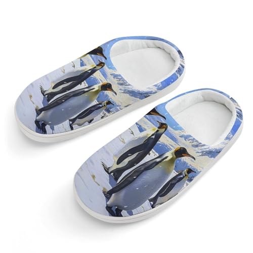 King Penguins Cute Cotton Slippers Anti-slip House Shoe Slipper Indoor Outdoor