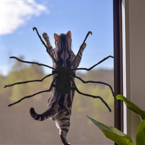 Disfraz de Araña para Perros Talla L Negro miniatura 6