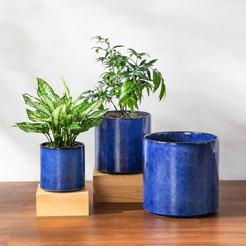 Pots de fleurs en céramique avec trous de drainage vancasso bleu