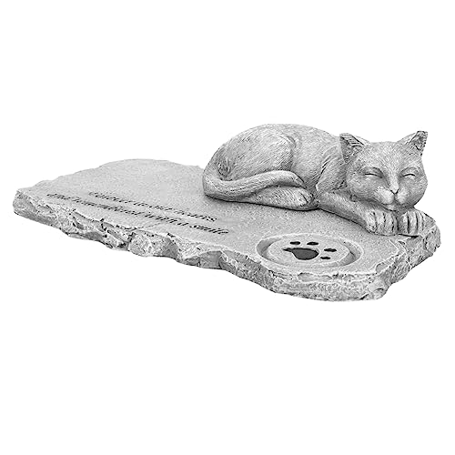 TOBBOMEY L̕ ybg̐Δ  W L L̋LOi ybgLO lH̔L L̃ANZT[ hL̋{ Oybg̕ ϖՐLLO LLO  Grey