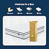 Vesgantti Mattress Queen Size 14 Inch, Fiberglass-Free | Cool Sleep Hybrid Mattress in a Box - Memory Foam & Pocket Springs, Ergonomic Design, Pressure Relief, Medium Firm Feel, 608014