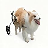 Pet Mobility Aid Wheelchair for Dogs, Rear Leg Support, Aircraft-Grade Aluminum Frame, Secure Buckle Harness, Removable Padded Seat, Smooth EVA Wheels(L)