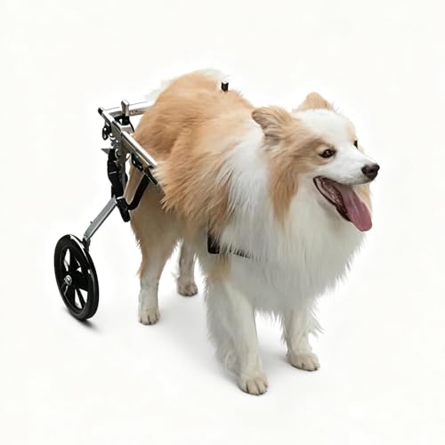 Pet Mobility Aid Wheelchair for Dogs, Rear Leg Support, Aircraft-Grade Aluminum Frame, Secure Buckle Harness, Removable Padded Seat, Smooth EVA Wheels(L)