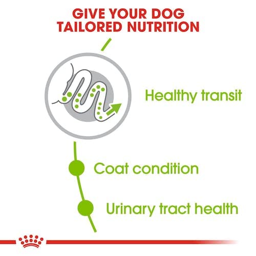 Royal Canin X-Small Adult | Doppelpack | 2 x 500 g | Trockenfutter für ausgewachsene sehr kleine Hunde | Für Hunde bis 4 kg | Ab dem 10 Lebensmonat | Zur Unterstützung des Darms