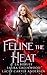 Feline the Heat (The Firehouse Witches)