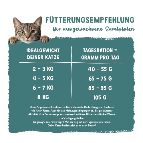 Sanabelle Classic Lachs | Katzentrockenfutter für ausgewachsene Katzen (ab dem 12. Monat) | 1 x 10 kg (Neu) – Ansicht 5