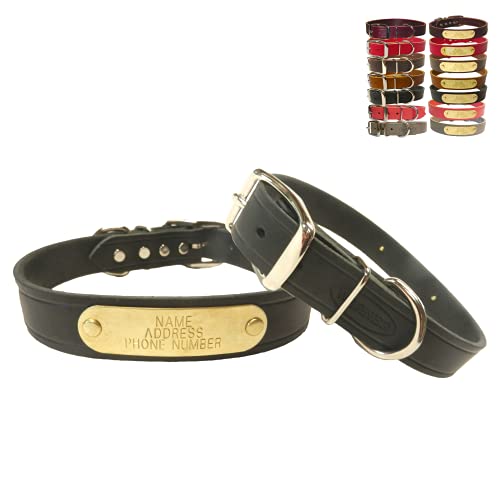 Warner Brand Cumberland Leather Dog Collar Free Engraved Brass ID tag (23