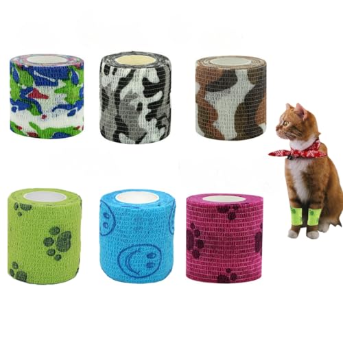 R.Queen t Lk e wیe[v w یe[v e[vsv S  e[v  Lk  @\ e[v ybg p L w r T|[g 5cm 4.5m 6FZbg