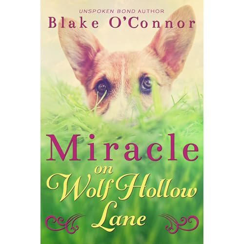 Miracle on Wolf Hollow Lane Audiolibro Por Blake O'Connor arte de portada