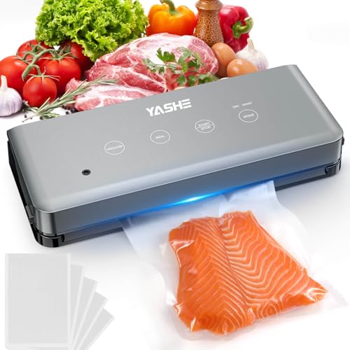 YASHE Machine Sous Vide Alimentaire avec Mode Sec et...