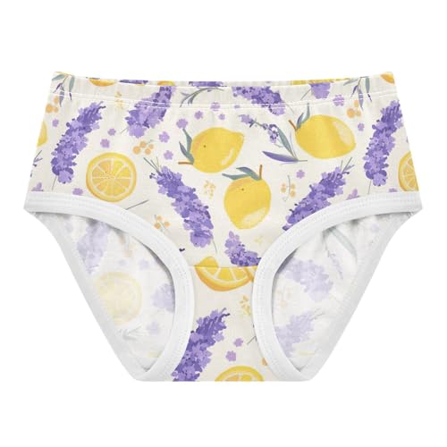 Wusikd Lavender Lemon Girls' Underwear Cotton Girls Briefs Soft Toddler Underwear 2T