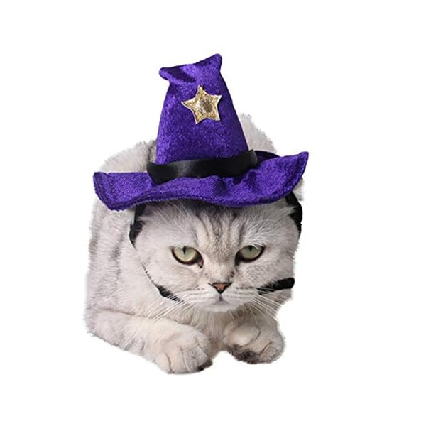 Aniac pet halloween costume adjustable magic witch hat with bell star decor for cats and small dogs purple