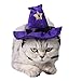 ANIAC Pet Halloween Costume Adjustable Magic Witch Hat with Bell Star Decor for Cats and Small Dogs Purple