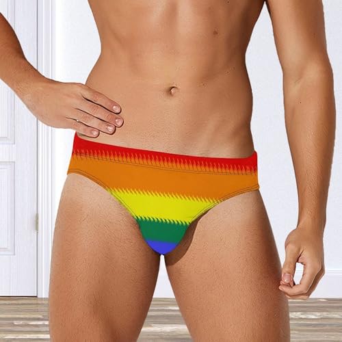 Sewn LGBT Flag Men's Swimsuit Bikini Briefs Swim Underwear Stretchy Swimwear2