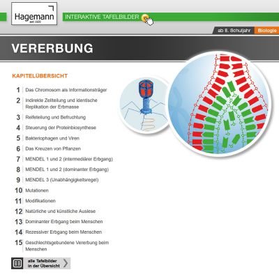 Vererbung - Interaktive Tafelbilder (tabletfähig) auf CD-ROM für PC, Beamer und Whiteboard - Hagemann 19139 - Einzel- und Schullizenz