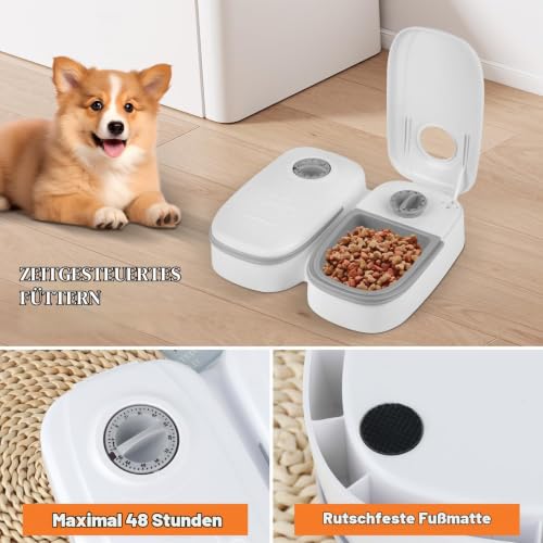 Mineup Futterautomat Katze, 700ML Futterautomat für Katzen, 2 Mahlzeiten Katzenfutter Automat mit 48 Stunden Timer, Automatischer Futterspender für Katze und Hund zum Nassfutter und Trockenfutter
