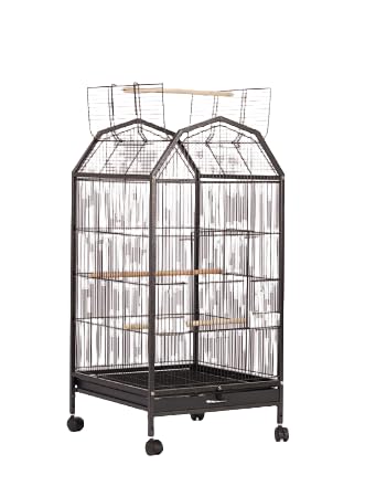   IE IJCR J LX^[t  gݗĂ⃁eiXȒP (ubN,46X46X93cm)