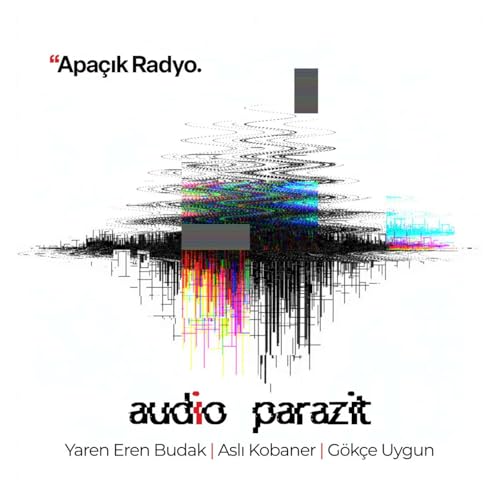 9. M&uuml;zik Sekt&ouml;r&uuml;n&uuml;n Kırılgan Ekonomisi: Prekarya ve G&ouml;r&uuml;nmeyen Kadın+ Emeği cover art
