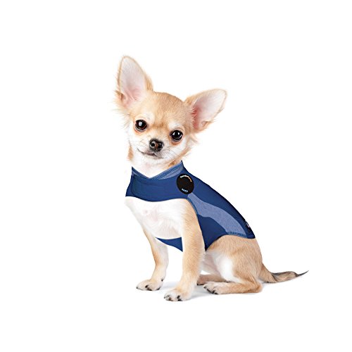 Thundershirt Polo, XXS, Blue