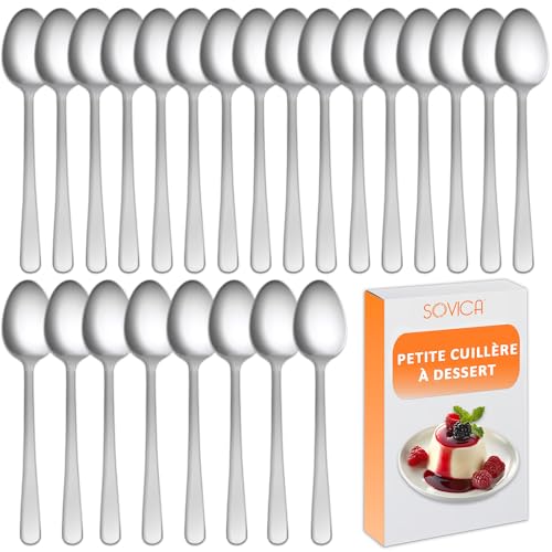 Petites Cuillères à Dessert en Acier Inoxydable 18/0 – Finition Polie, Lot Élégant pour Glaces, Yaourts, Mousses, Maison, Invités et Restaurants (24...