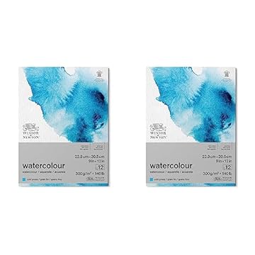 Winsor and Newton Watercolour Paper Pad, 22.9 x 30.5 cm, 12 Sheets, 300 g/m, Glue Bound, Cold Pressed, Acid, Mixture of 25 Percent Cotton and Cellulose Fibres, Natural White (Pack of 2)