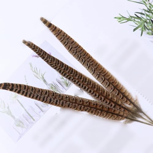 10 Pcs Long Pheasant Tail Feathers Natural Pheasant Feathers Floral Arrangement Feathers Feather Wedding Centerpiece Home Party Craft Decorations Supplies