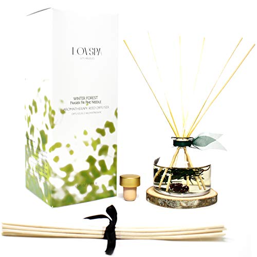 LOVSPA Winter Forest Pine Reed Diffuser Gift Set Juniper Berries, Sandalwood & Cedar Notes | Made with Real Botanicals + Wooden Coaster | Proudly Made in The USA