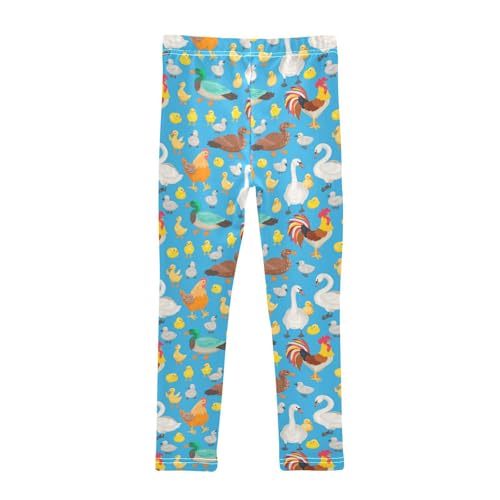 Rooster Chickens Girls' Leggings Toddler Doodles Swans Ducks Kids Yoga Pants Dance Active Tights 7-8T Multi2