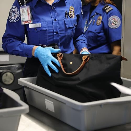 Could airport slowdowns end the shutdown?