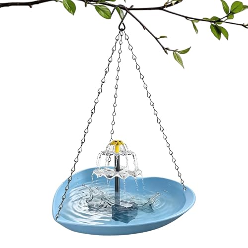Bain d'oiseaux en cœur pour hydrater les calopsittes en plein été