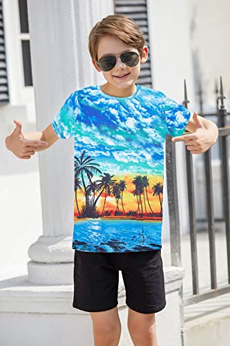 Raisevern Boys Shirt Short Sleeve 3D Print T-Shirt Funny Tees Girls Cool Summer Tops Shirts For Holiday Sea Island Palm Tree Beach Outfits Size 9-12 Years #TOP4