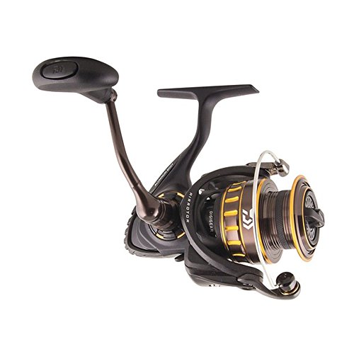 Daiwa Bg Spinning Reel, Black/Gold, 3000 #TOP5