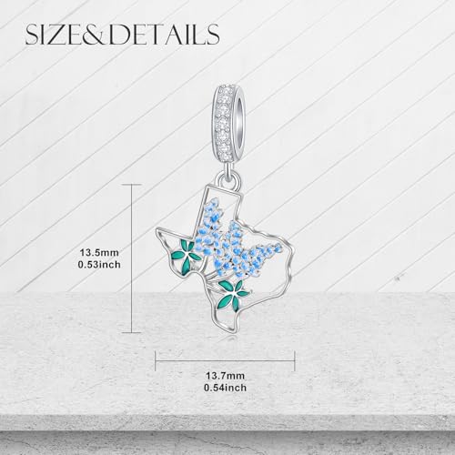 Texas Bluebonnets Charms for Bracelet 925 Sterling Silver State Map Flag Jewelry Hometown Texas Gifts for Women Love TX4