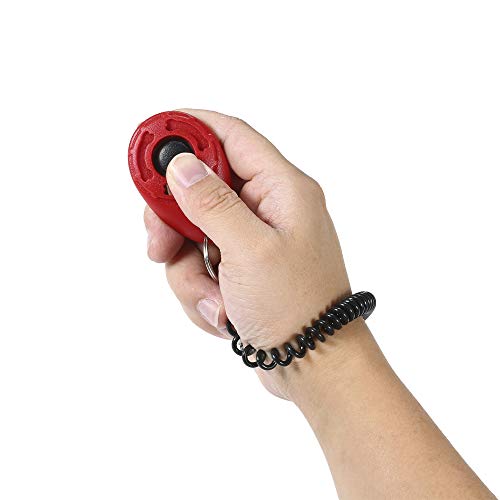 mewmewcat Clicker do treinamento do cão com a faixa de pulso espiral elástica para o brinquedo jogan