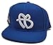 FUBU New 30th Anniversary Limited Edition Logo Royal Blue White Era Snapback Hat Cap